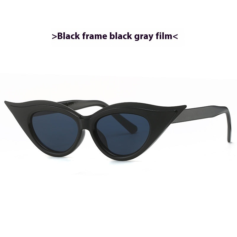 Cat Eye Pointed Model Style Sunglasses