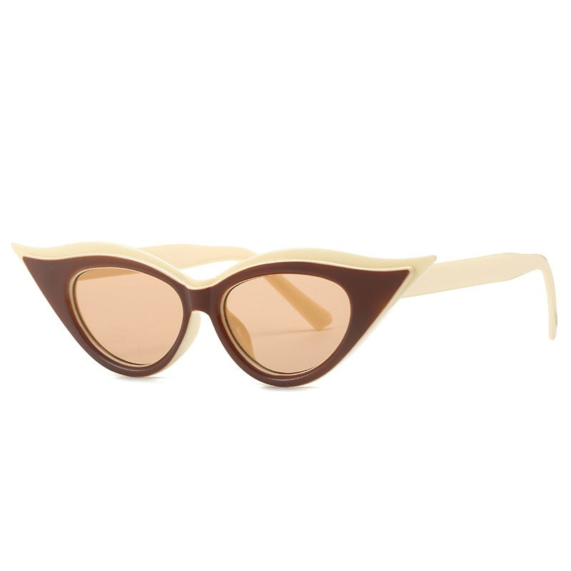 Cat Eye Pointed Model Style Sunglasses